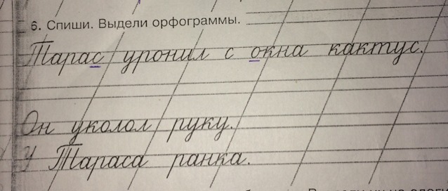 Спишите какая орфограмма. Спиши выдели орфограммы. Выдели орфограммы пропись. 6. Спиши. Выдели орфограммы.. Выдели орфограммы первый класс.