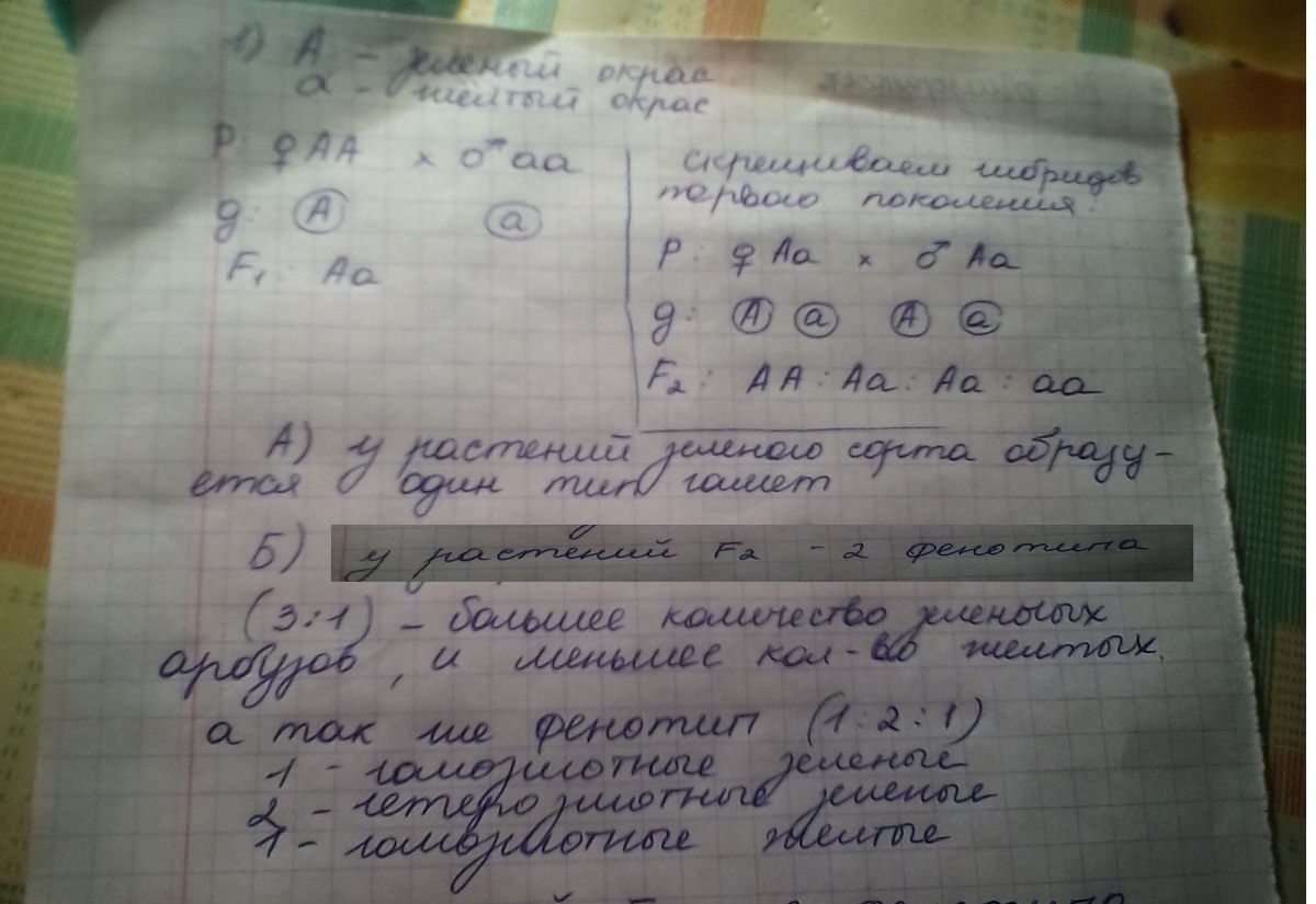 Скрещены гомозиготные растения. У арбуза зеленая окраска доминирует. У арбуза зеленая окраска плодов доминирует над полосатой. Зеленая окраска плода доминирует над желтой окраской. Гетерозиготные растения.