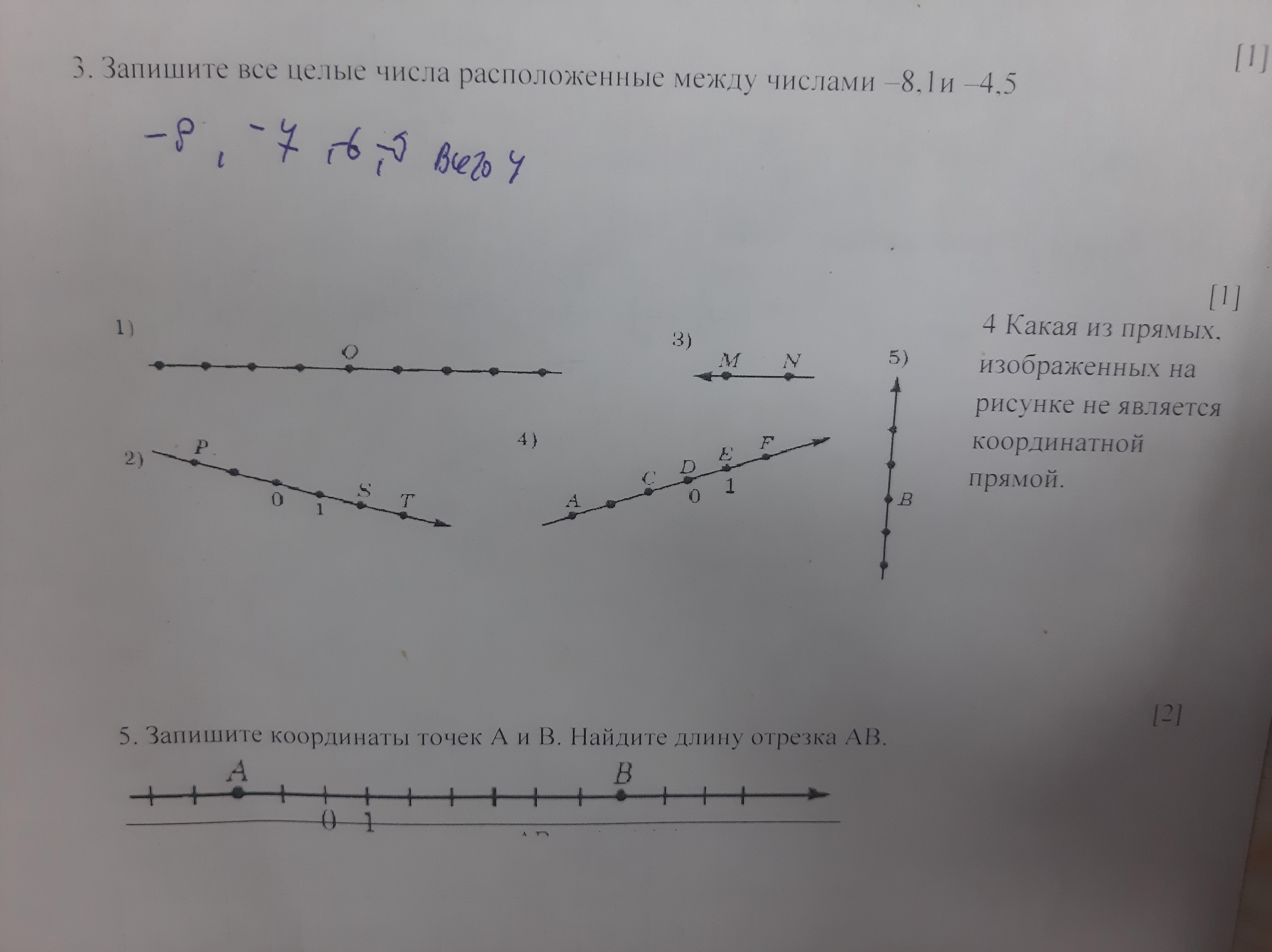 Какая из прямых является координатной