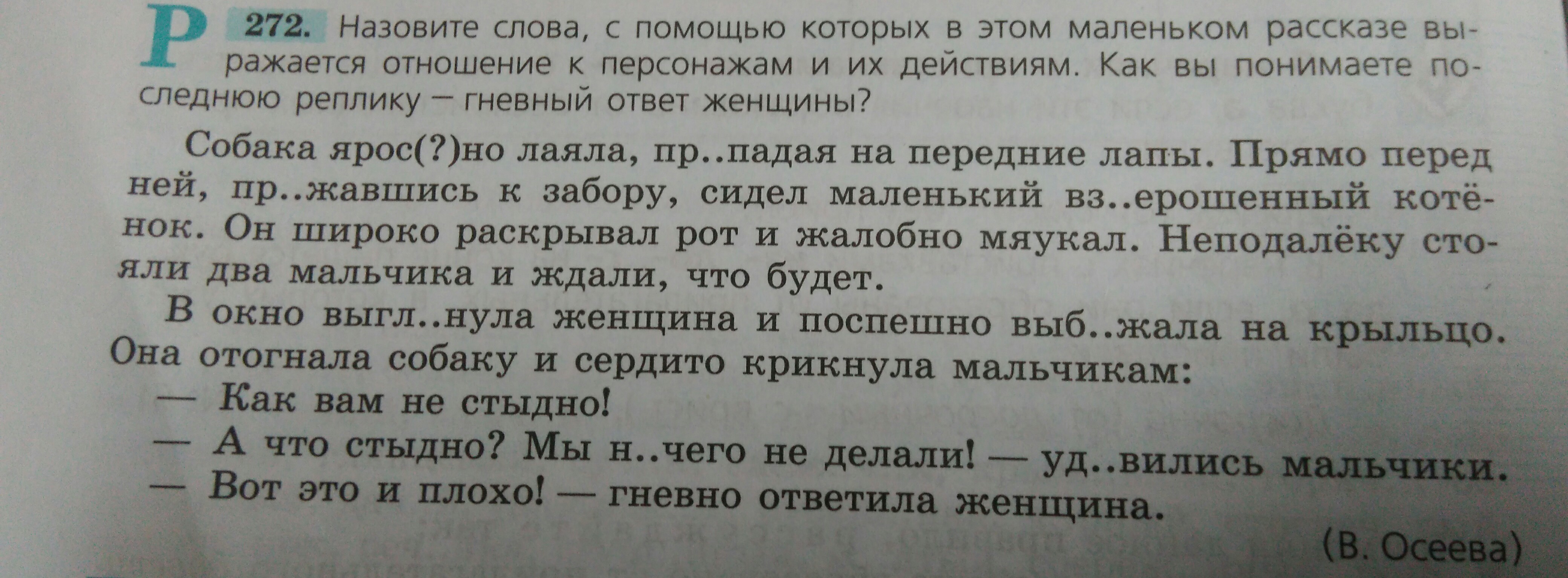 Текст для списывания 4 класс. Небольшой рассказ 5 класс по русскому языку. Сочинение про лес. Небольшой рассказ 5 класс по русскому языку. Сочинение рассказ о себе 5 класс.
