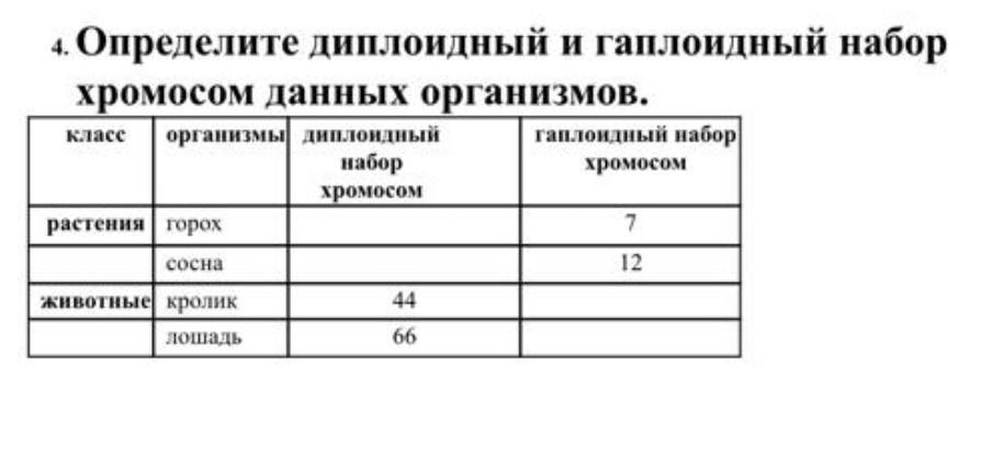 Диплоидный набор пример. Гаплоидный и диплоидный набор хромосом. Гаплоидный и диплоидный набор. Диплоидный набор хромосом определение. Гаплоидные группы по странам.