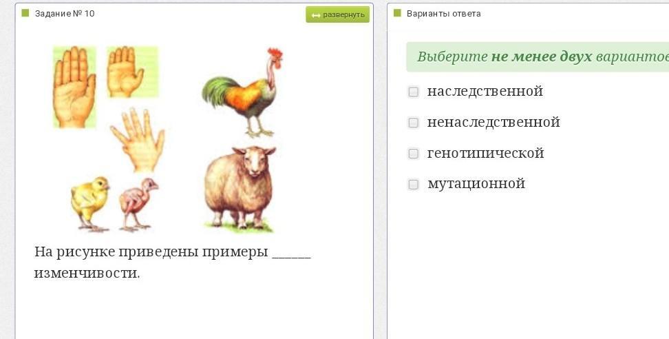 Изменчивость огэ биология. На рисунке приведены примеры изменчивости. Животные изучение изменчивости. Определенная изменчивость примеры. Примеры случайной изменчивости 7 класс.