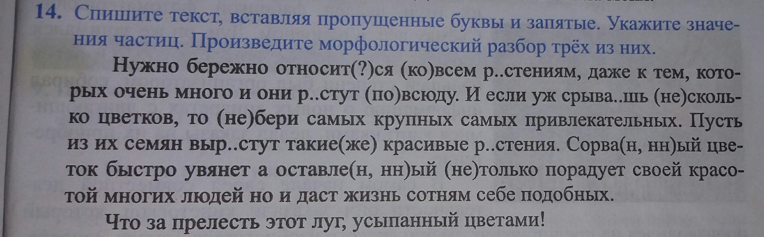 Спишу 3 разбор. Спишите вставляя пропущенные буквы и запятые. Вставить пропущенные буквы и запятые. Спишите текст. Спишите слова вставляя пропущенные буквы.