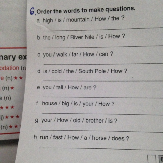 Order the words to make reported questions