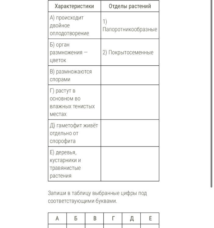 Установите соответствие признак растения отдел