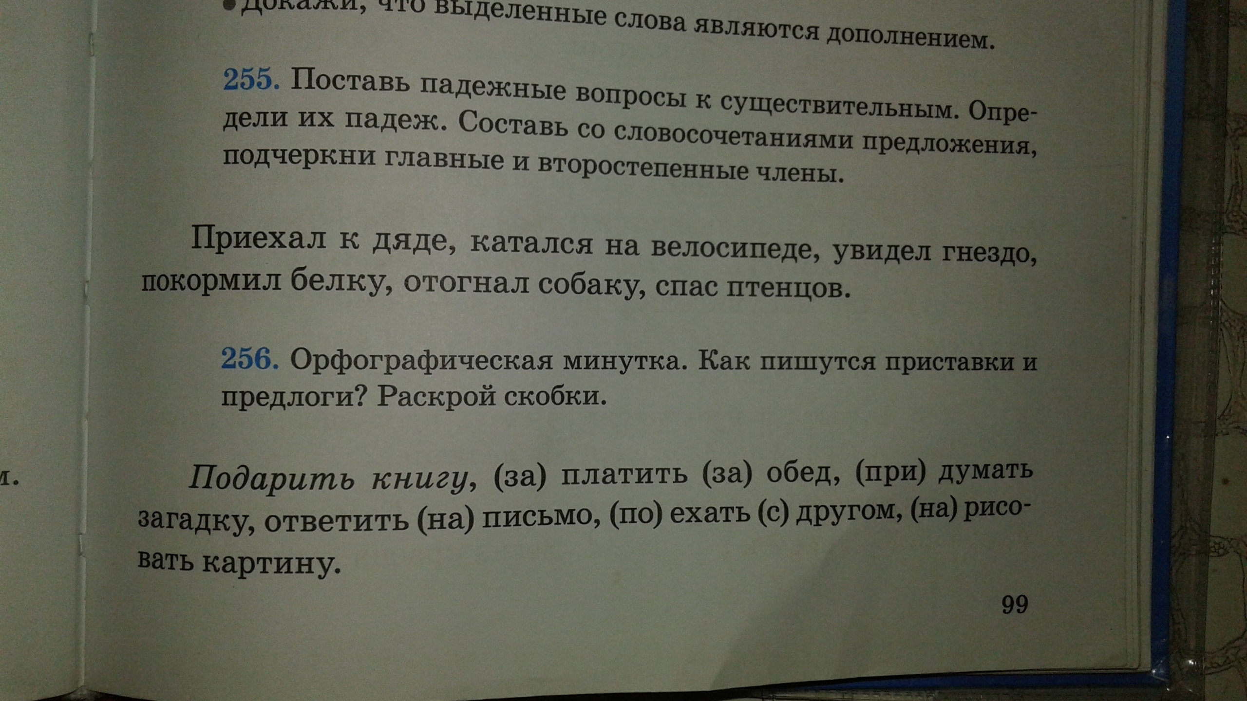 какие члены называются главными и второстепенными фото 89