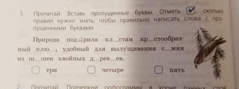 Вставь получившиеся слова в пробелы под картинками