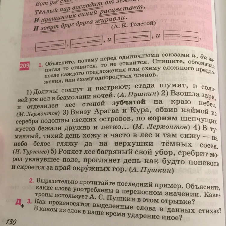 Небо чистое безмолвное где запятая. Ветка покачавшись замерла где запятая. У Зои ваза где запятая.