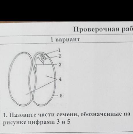 На рисунке 3 цифрами обозначены