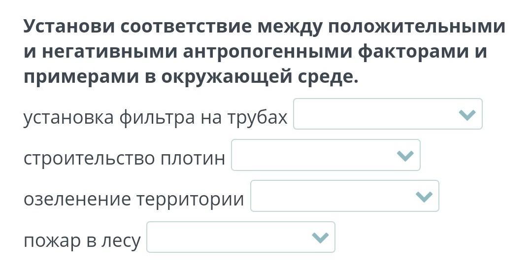 В чем разница между положительной и отрицательной
