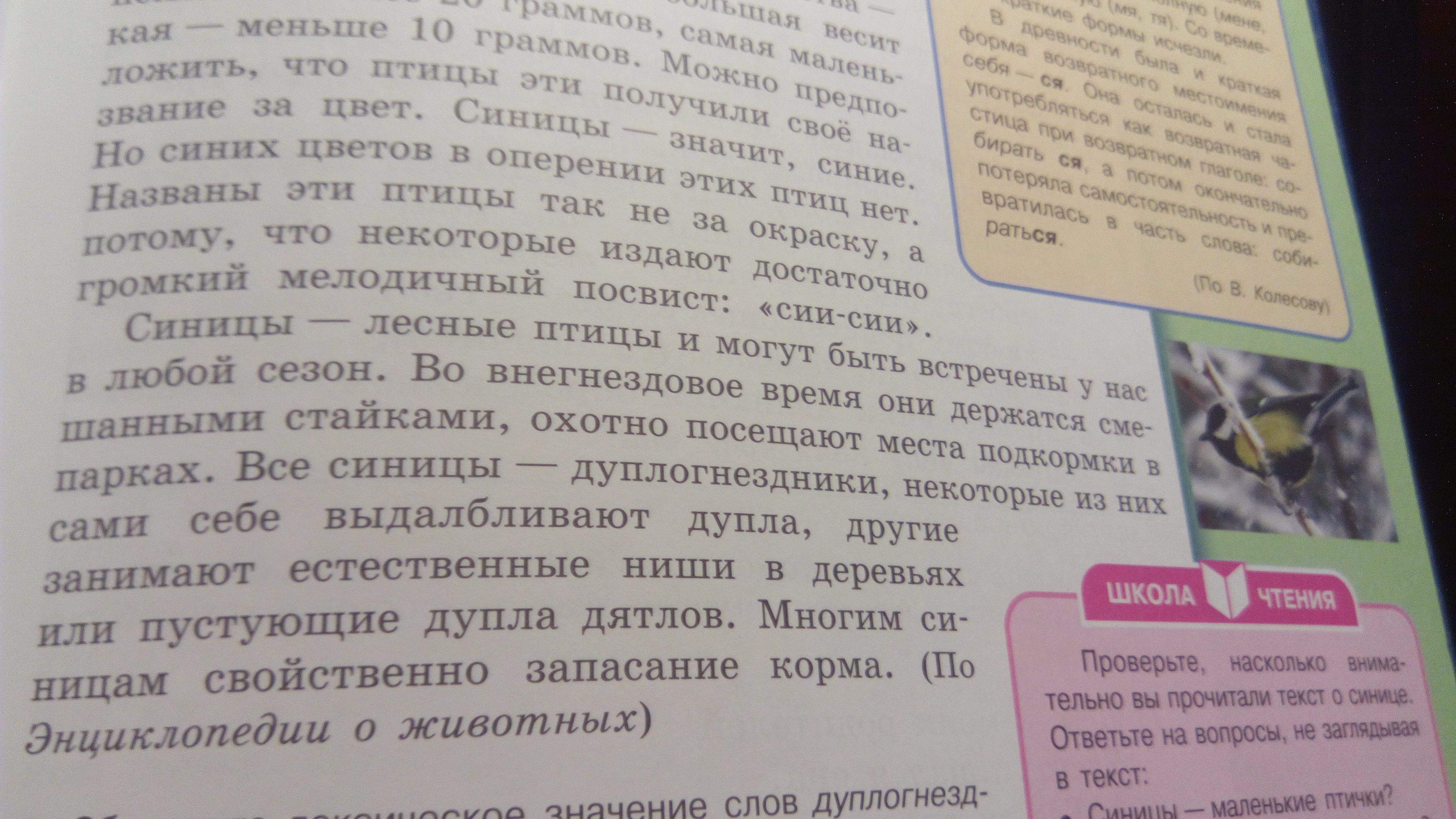 Последний абзац текста повторяет. Текст с 2 абзацами. Маленький текст по абзацам. Текст 2 абзаца небольшой. Небольшой текст с двумя абзацами.