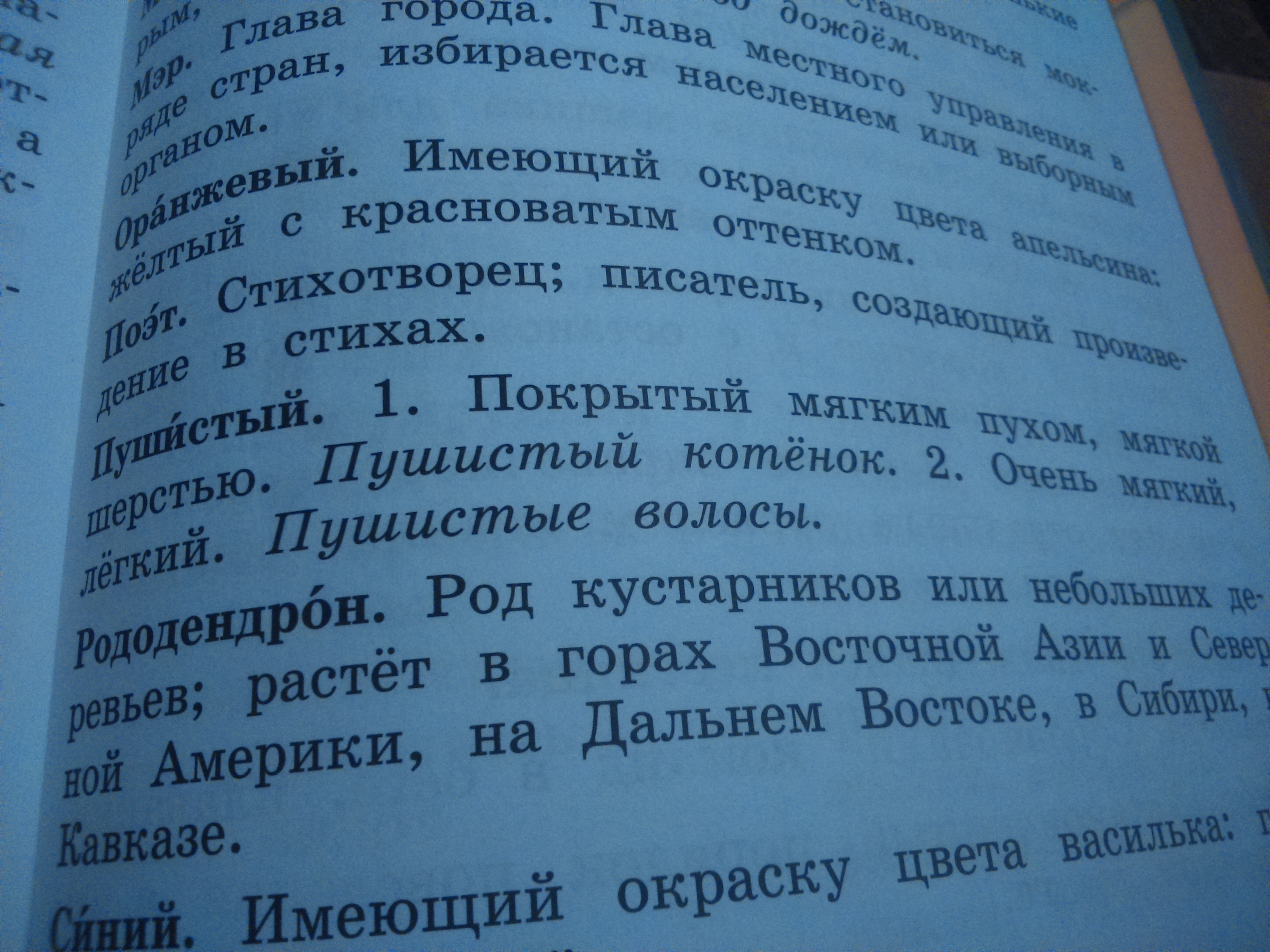 Слово пушистый. Многозначные слова пушистый. Пушистый значение слова. Слово пушистый многозначное слово. Предложение с многозначным словом пушистый.