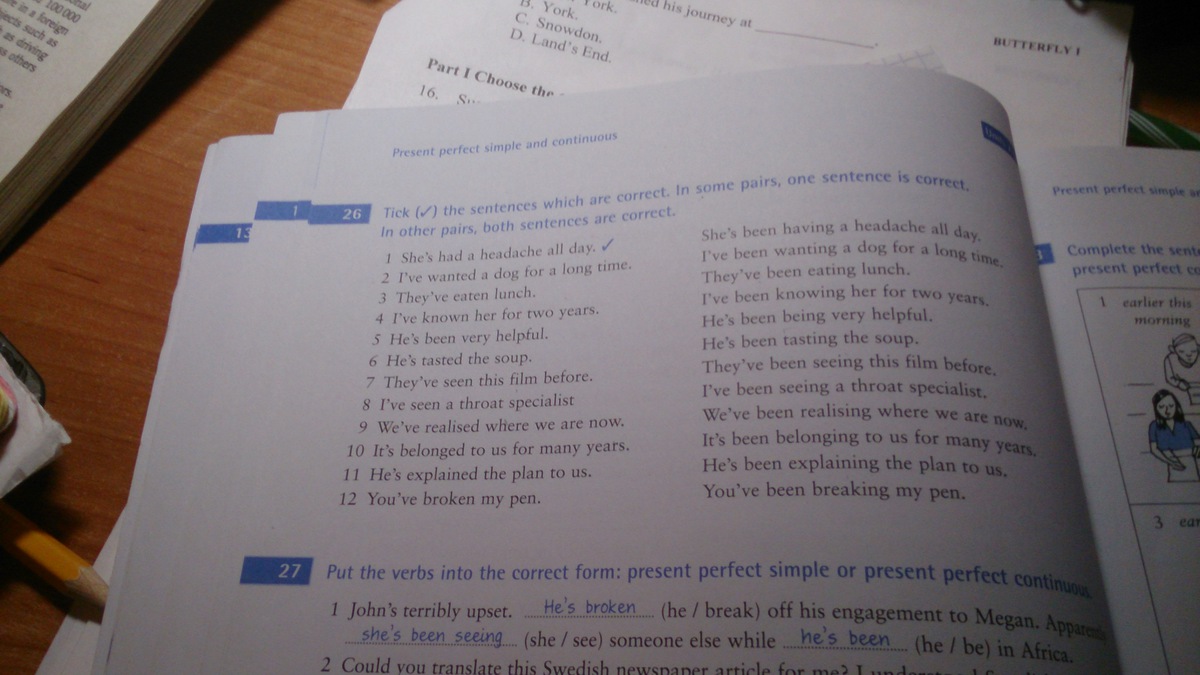 Tick the correct form. Tick the correct sentences. Are the sentences correct correct the. Tick the correct sentences as in the example. Tick the sentences which are correct in some pairs one sentence is correct in other pairs.