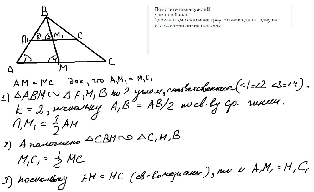Медиана делит треугольник пополам