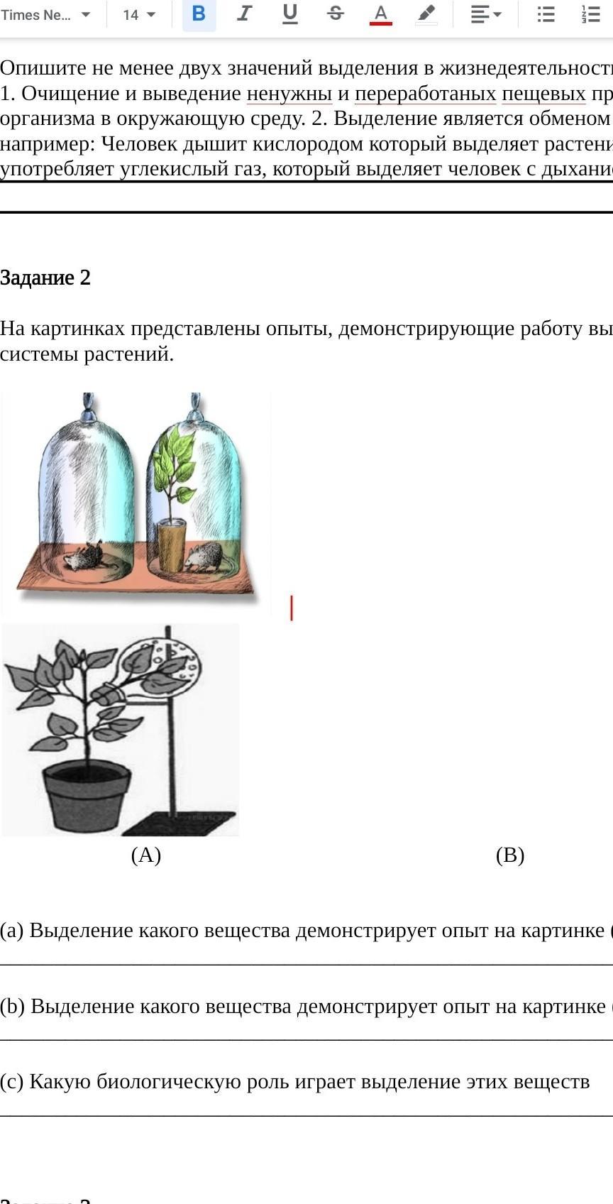 Из какого вещества состоит каждое из этих тел природы гвоздь стул капля росы мяч