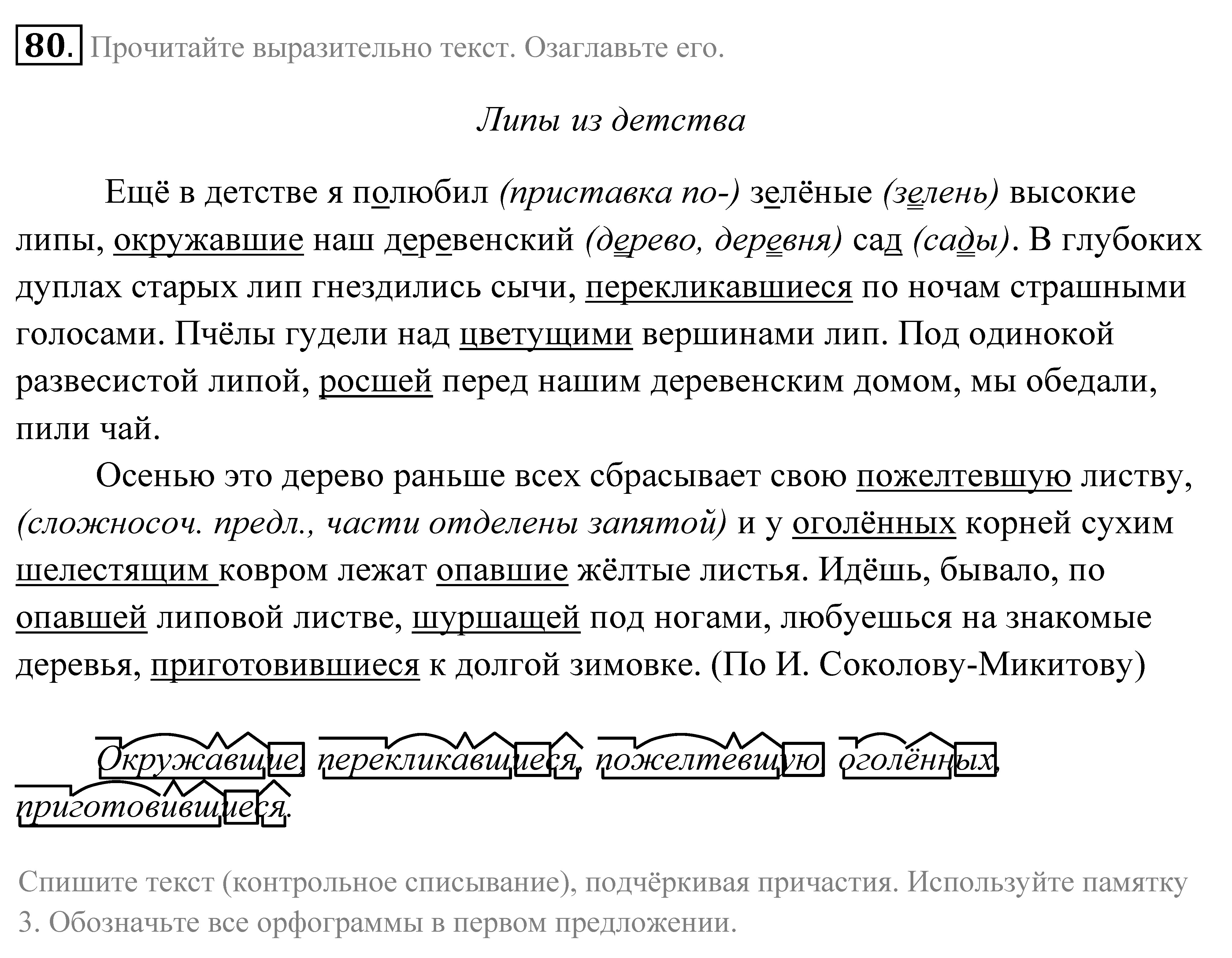 Прочитайте текст выразительно чем поразила детей картина. Упражнение 80 русский язык 7 класс выписать причастия. Справа и слева наш деревенский сад окружали липы. Текст слева и справа наш деревенский сад окружали липы. Текст только с существительными.