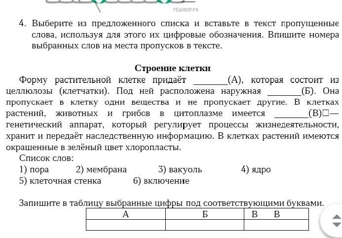 Вставьте в текст пропущенные слова из списка. Выберите из предложенного списка и вставьте в текст пропущенные. Вставьте пропущенные слова в тексте внутри листа очень много клеток..