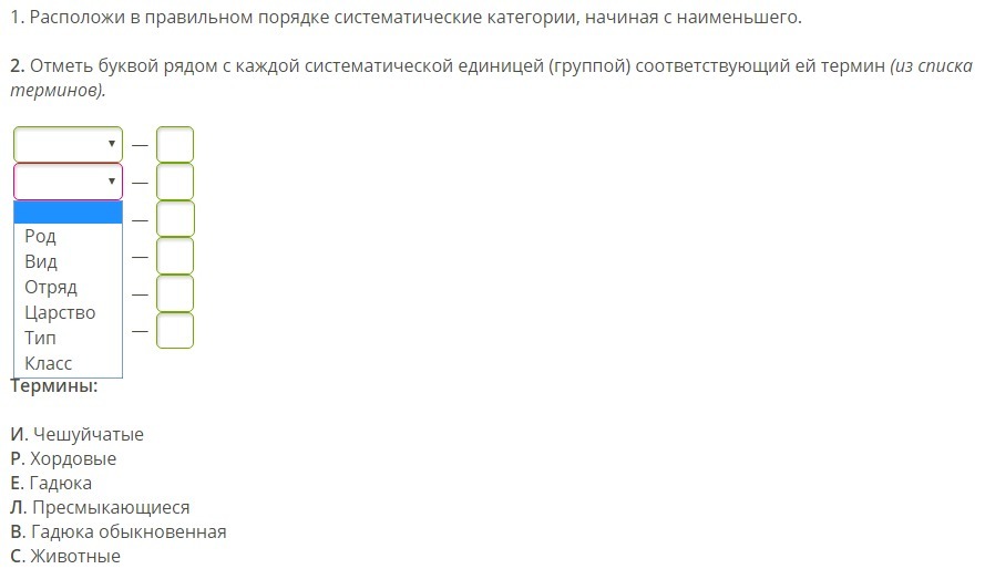 Отметь ряд в котором слова расположены в порядке схем садик переходный