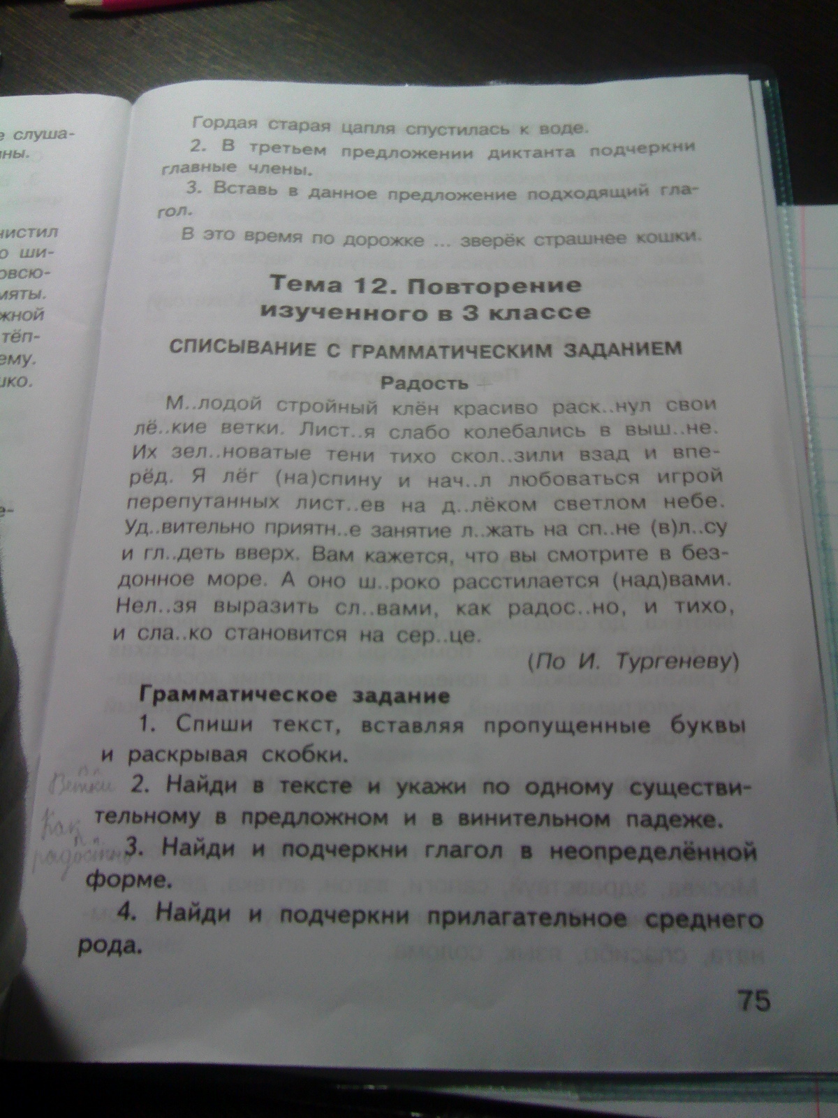 Текст из одних существительных. Предложение со словом шофер в винительном падеже.