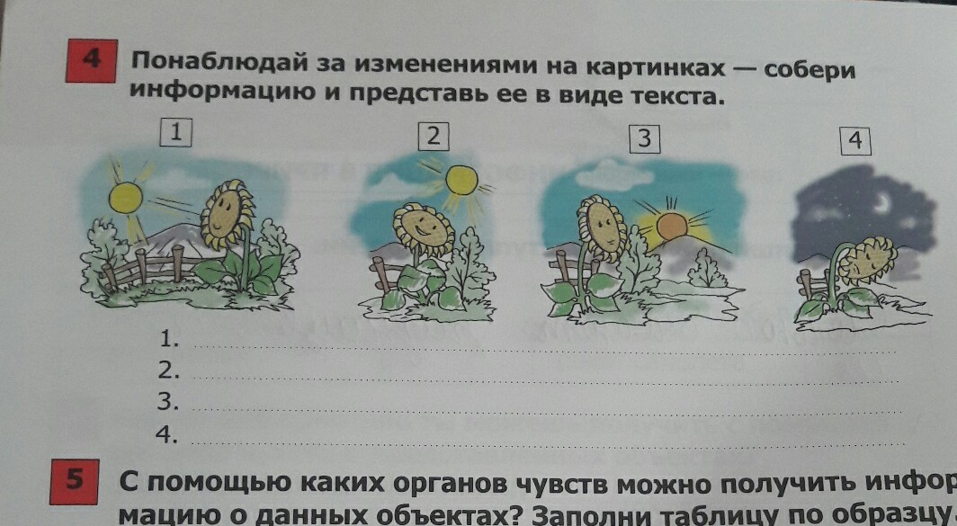 Наглядное запоминающееся изображение сопоставления данных. Наглядное запоминающееся изображение сопоставления данных