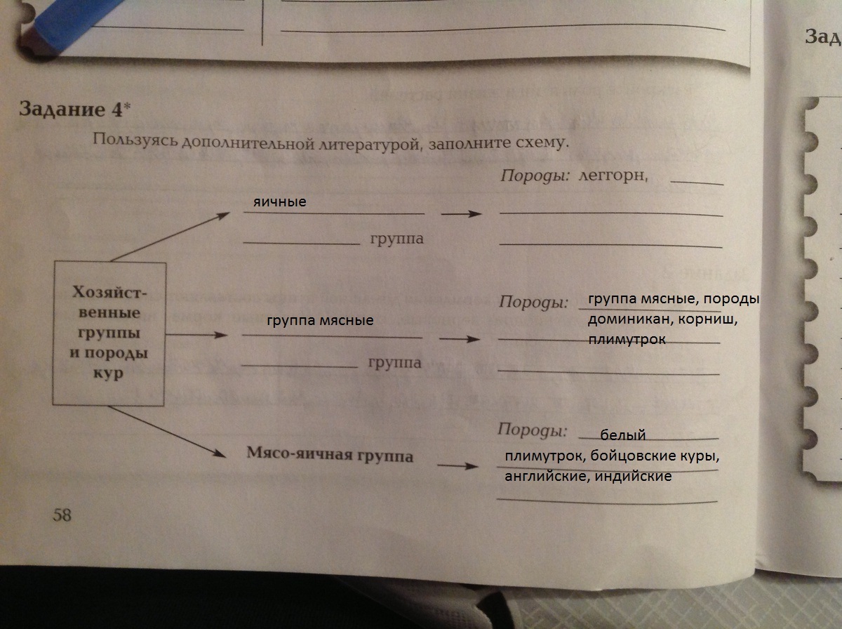 Заполните схему зарубежные писатели 3 класс