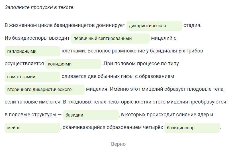 Заполните пропуски в тексте стенки тела гидры состоят из