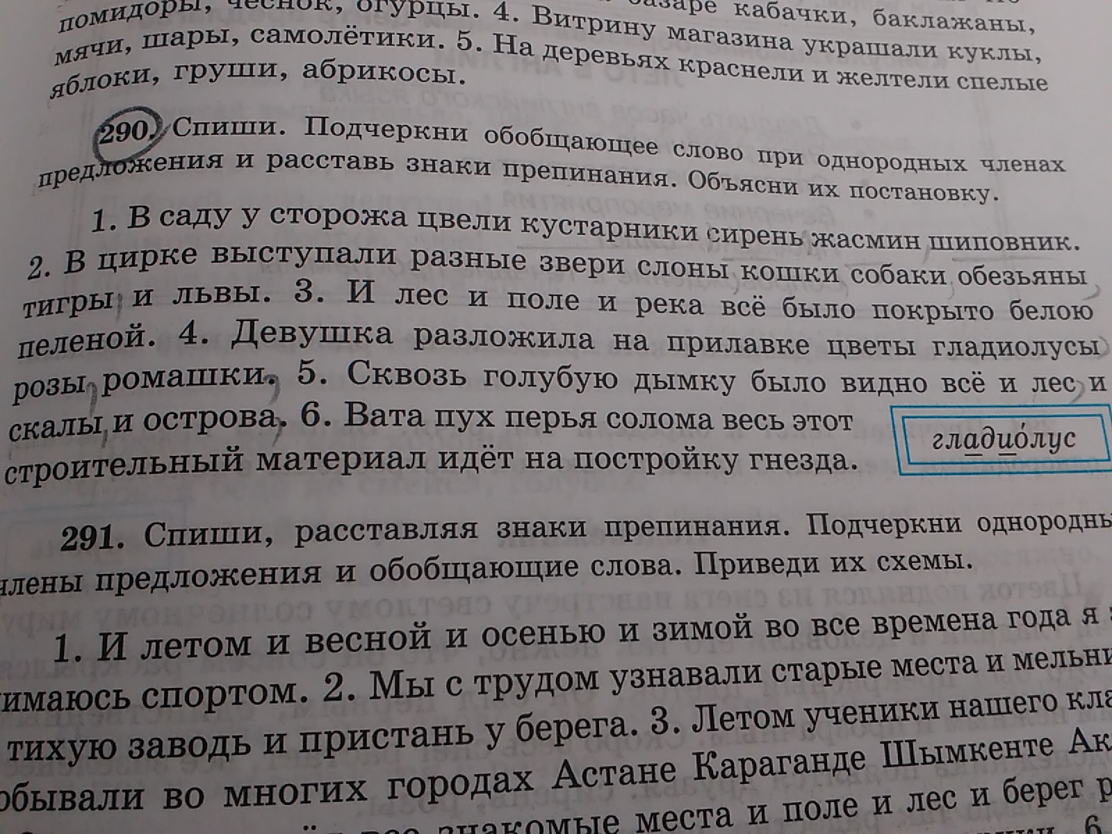 Русский язык 6 класс упр 290. Упр №290 выделите в предложение слова категории было тихо.