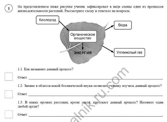 На представленном ниже рисунке ученик зафиксировал схему. На представленном ниже рисунке ученик зафиксировал в виде схемы.