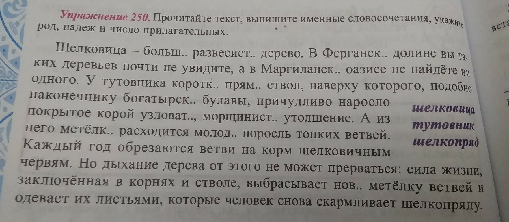 Рассмотрите рисунки прочитайте слова и словосочетания слов