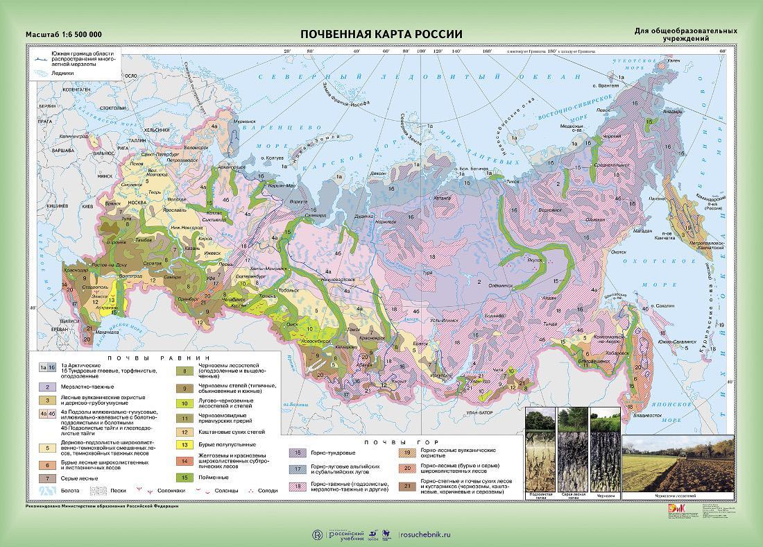 Зеленым цветом закрасьте природную зону имеющую самые плодородные почвы планеты контурная карта гдз