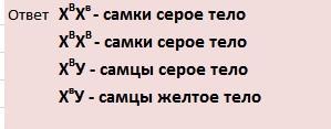 У дрозофилы рецессивный ген желтой окраски