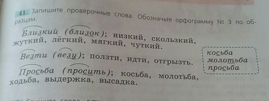 Подбери проверочные слова и запиши по образцу