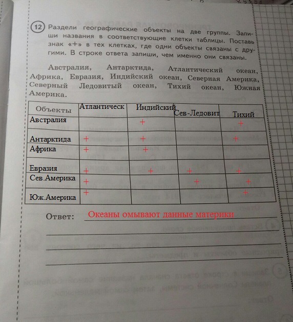 Подпиши под каждой картинкой название изображенного животного и заполни клетки таблицы ответы