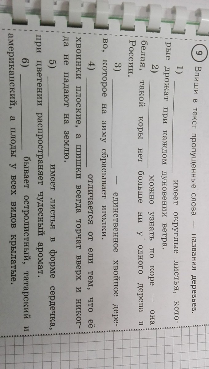 Номер 6 ответ. Шестой номер. Эношита 6 номер. Блок номер 6 вопросы и ответы.