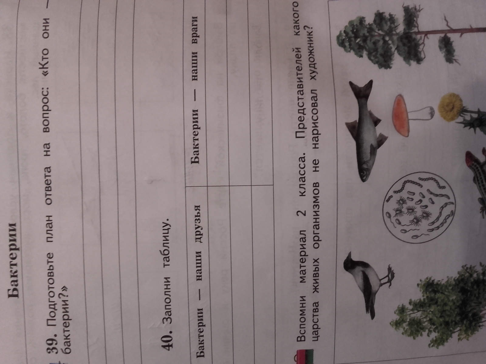 Бактерии наши друзья. Бактерии наши друзья и враги 3. Бактерии наши друзья бактерии наши враги. Бактерии наши враги или друзья. Бактерии наши друзья и враги 3.