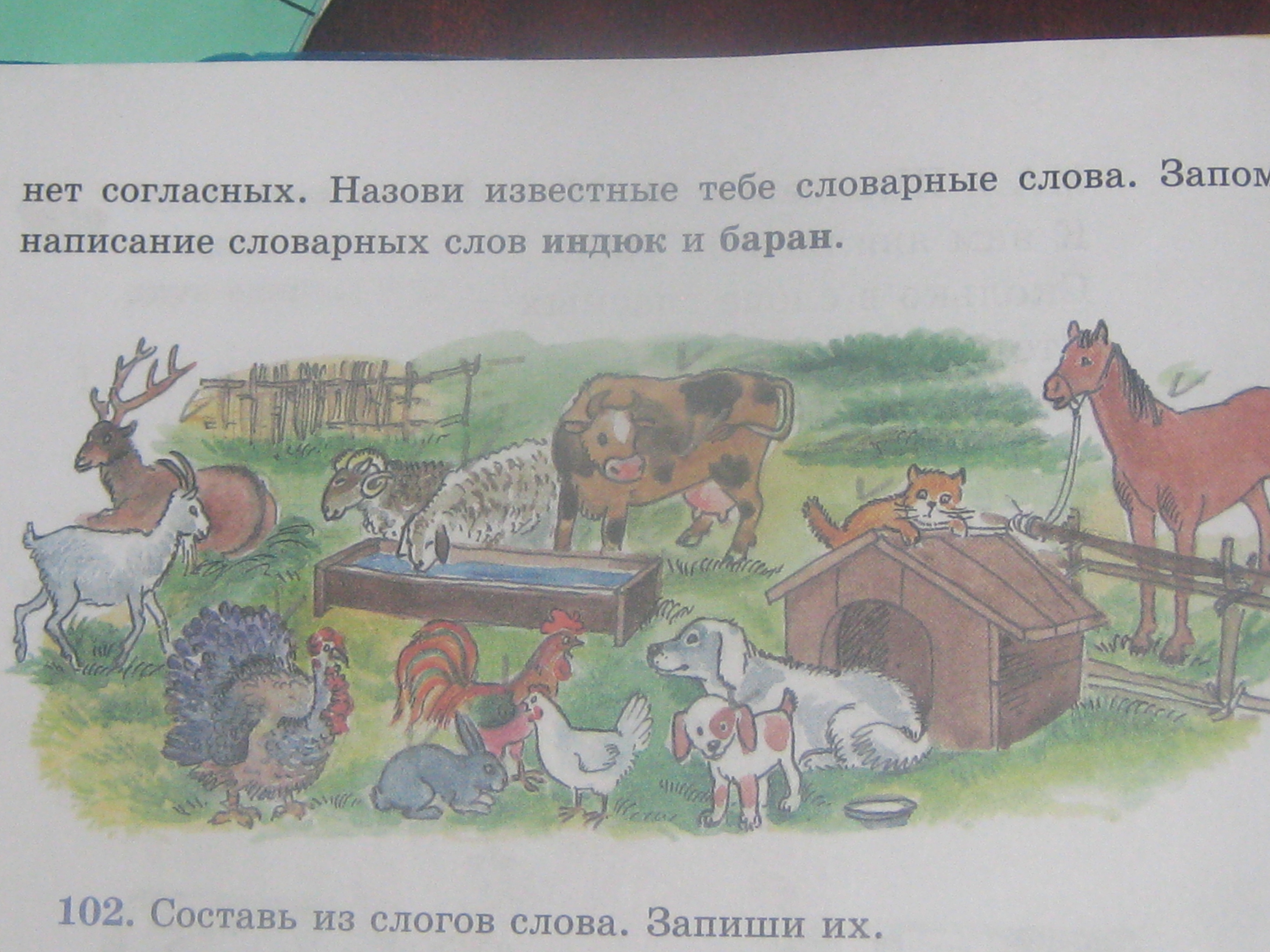 Рассмотрите иллюстрации назовите. Рассмотрите рисунок назови животных. Рассмотри картинки назови зверей. Рассмотри рисунки назови только зверей. Рассмотри рисунки назови только зверей объясни свой.