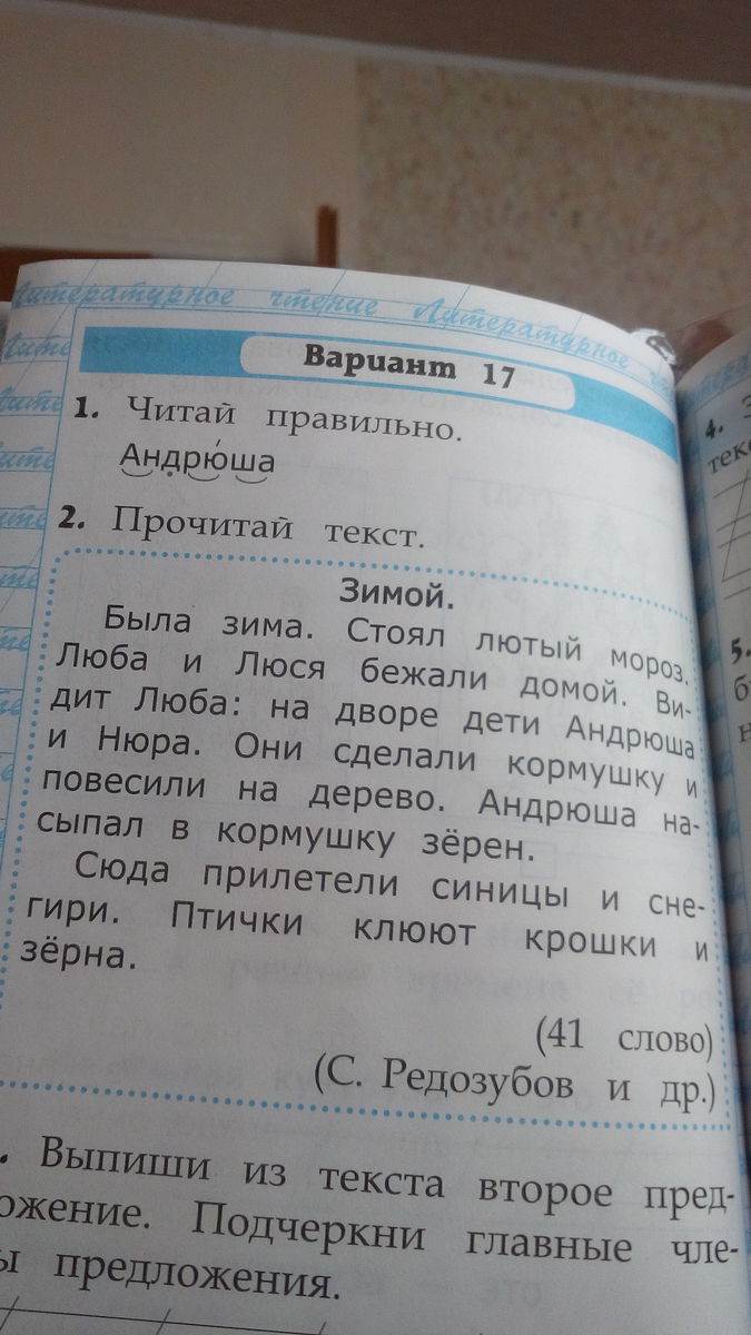 Подчеркни предметы. Стоял лютый Мороз подчеркни слово которое обозначает предмет. Запиши главную мысль. Запиши главную мысль текста. Запиши главную мысль текста .зима.