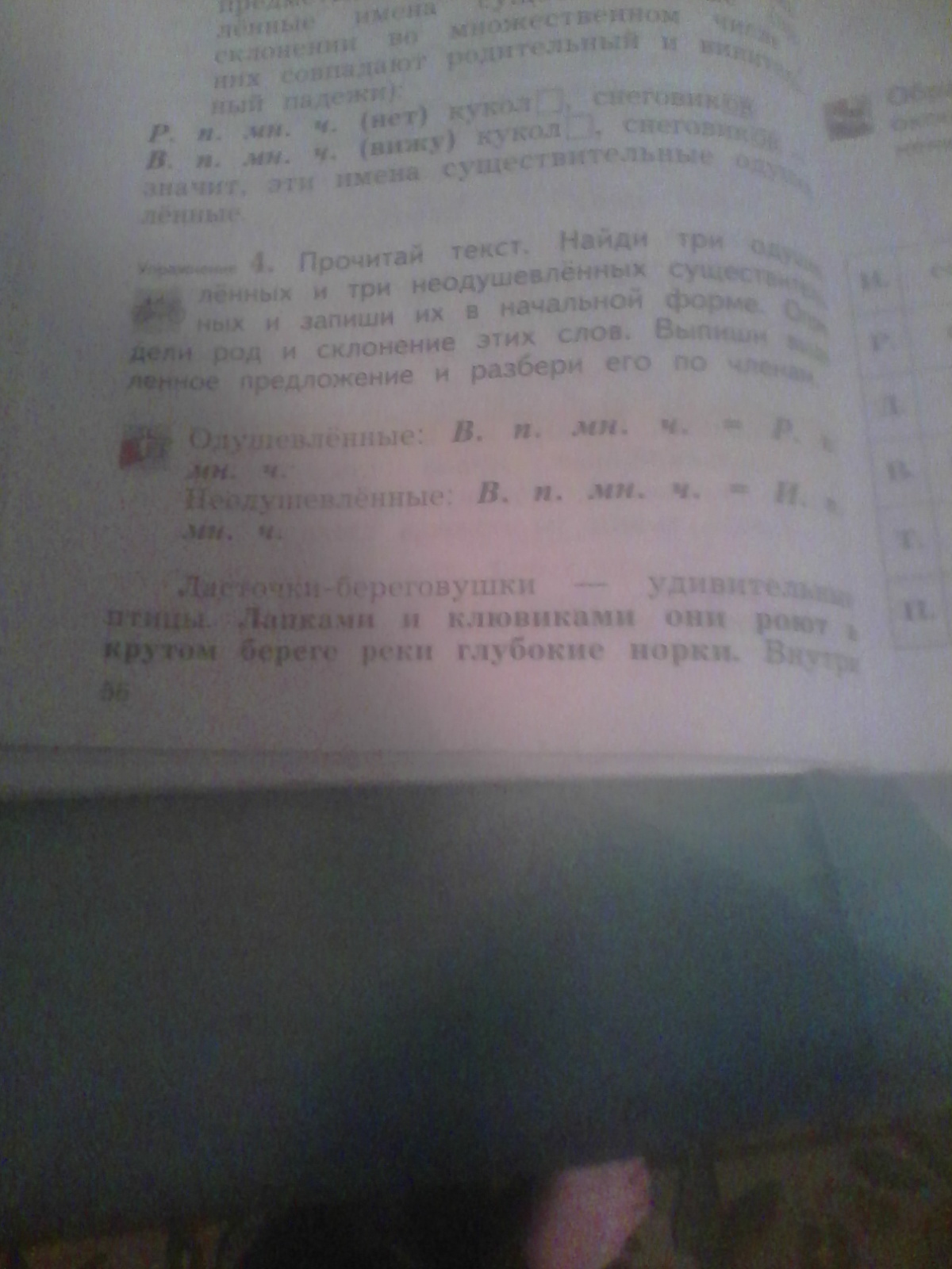 Прочитай текст найди 3 орфографические ошибки спиши текст. Прочитай текст выпиши личные местоимения. Найди в тексте и прочитай. Прочитай текс найди одушевлённых и три неодушевлённых текст три. Прочитай текст найди три одушевлённых и три.