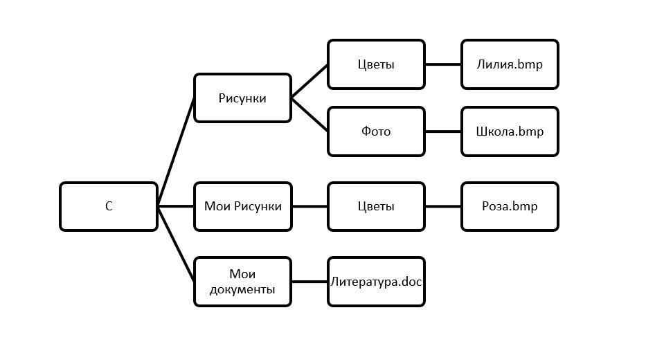 Постройте дерево каталогов c рисунки природа небо bmp