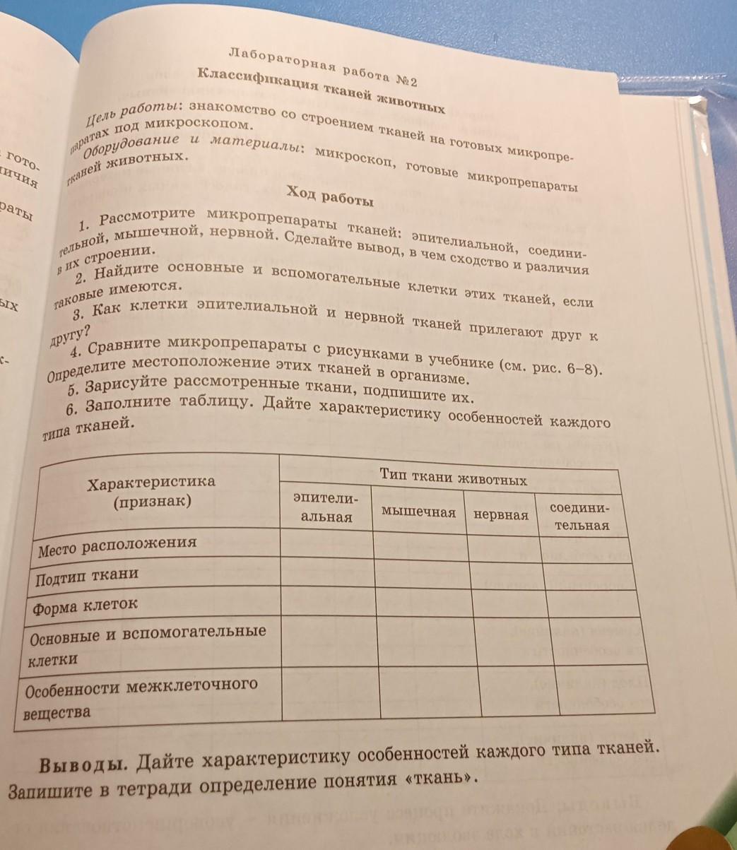 Лабораторная работа 2 классификация тканей животных. Лабораторная работа 2 классификация тканей животных