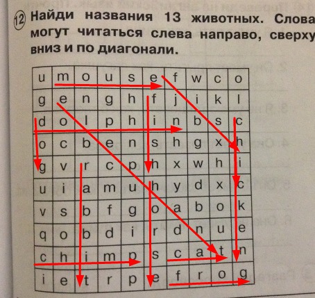 Назови 13. Название 13 животных. Найдите названия 13 животных. Найди названия 13 животных слова. Найди названия 13 животных английский.