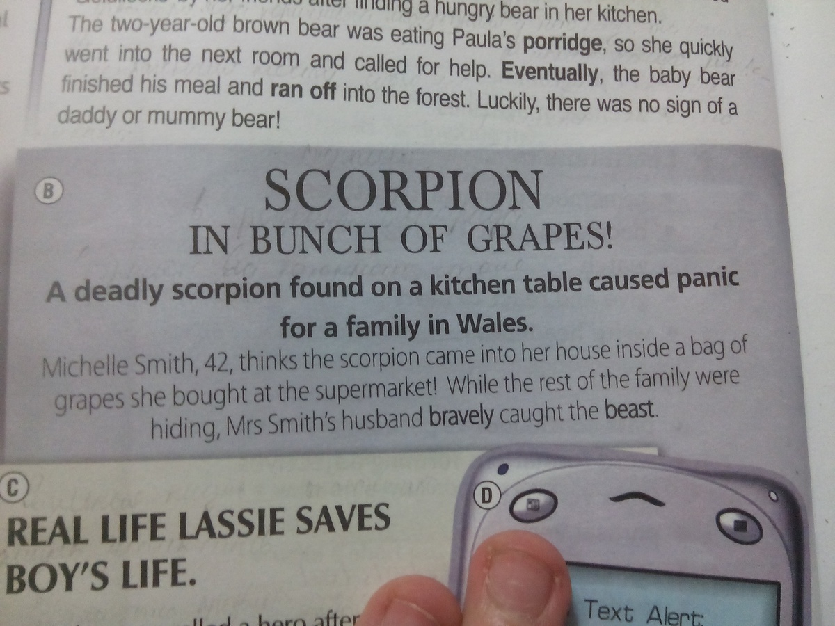 Bunch перевод. Перевод текста real Life Lassie saves boy's Life. Scorpion in bunch of grapes. Scorpion in bunch of grapes! Перевод текста. Пересказ текста real Life Lassie boy's Life.