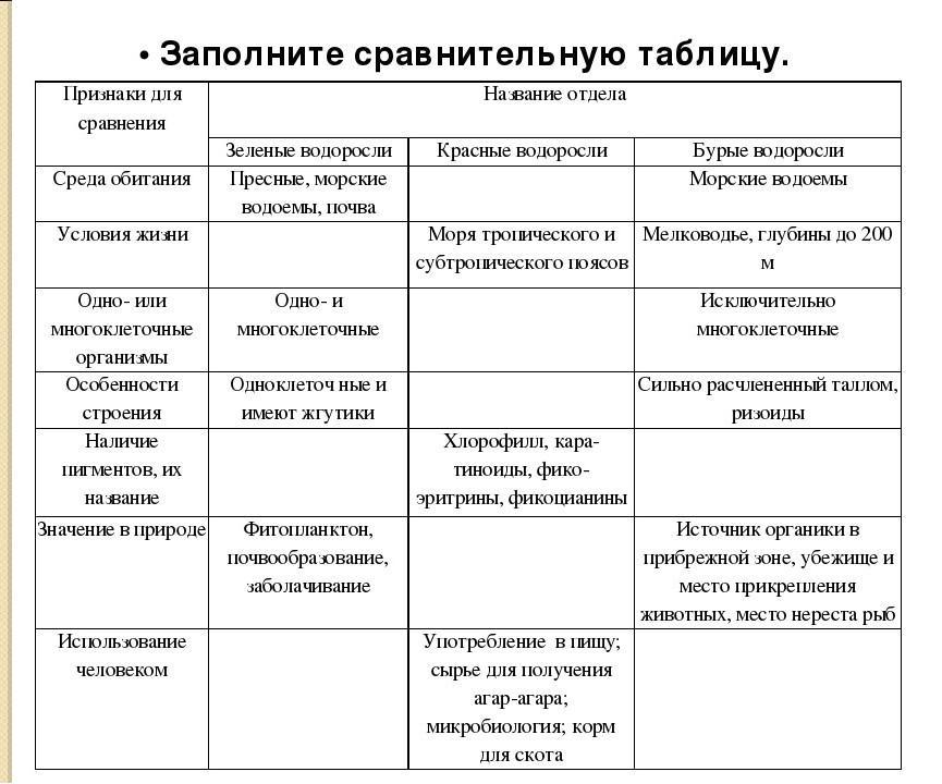 Работа с моделями схемами таблицами биология 7 класс