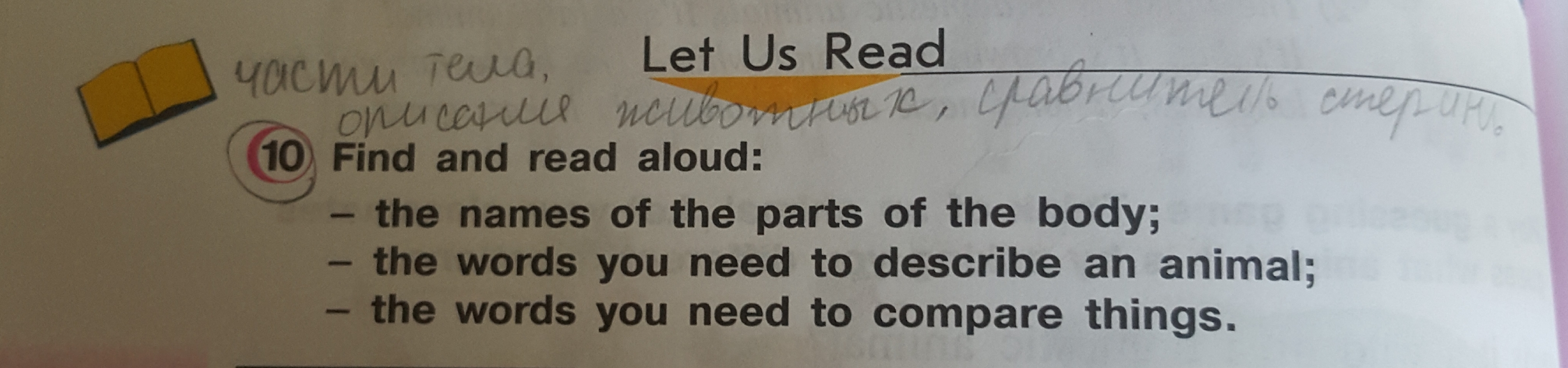 Read aloud перевод. Find and read Aloud the names of the Parts of the body ответы 3. Read and find. The Words that help you compare things. Find and read Aloud the names of clothes 3 класс.