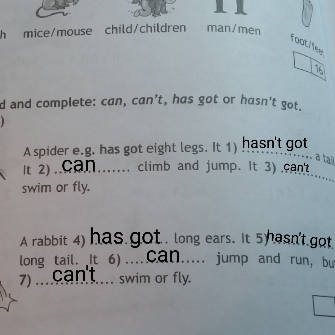 A mouse has got a long tail. Have Mice got long Tails. Have Mice got long Tails, ответ на вопрос. A Mouse has got a. Cows have got или has got long Tails.