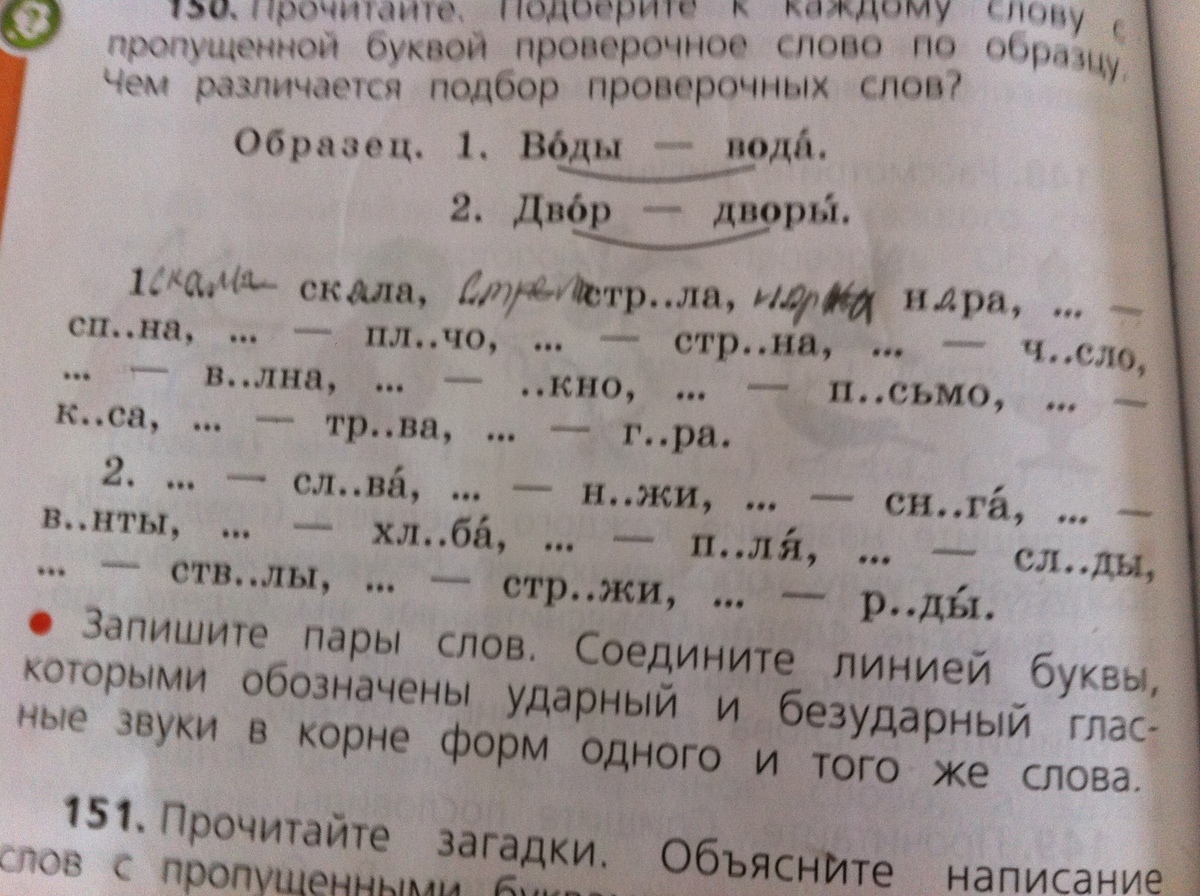 Проверочное Слово Дрочу
