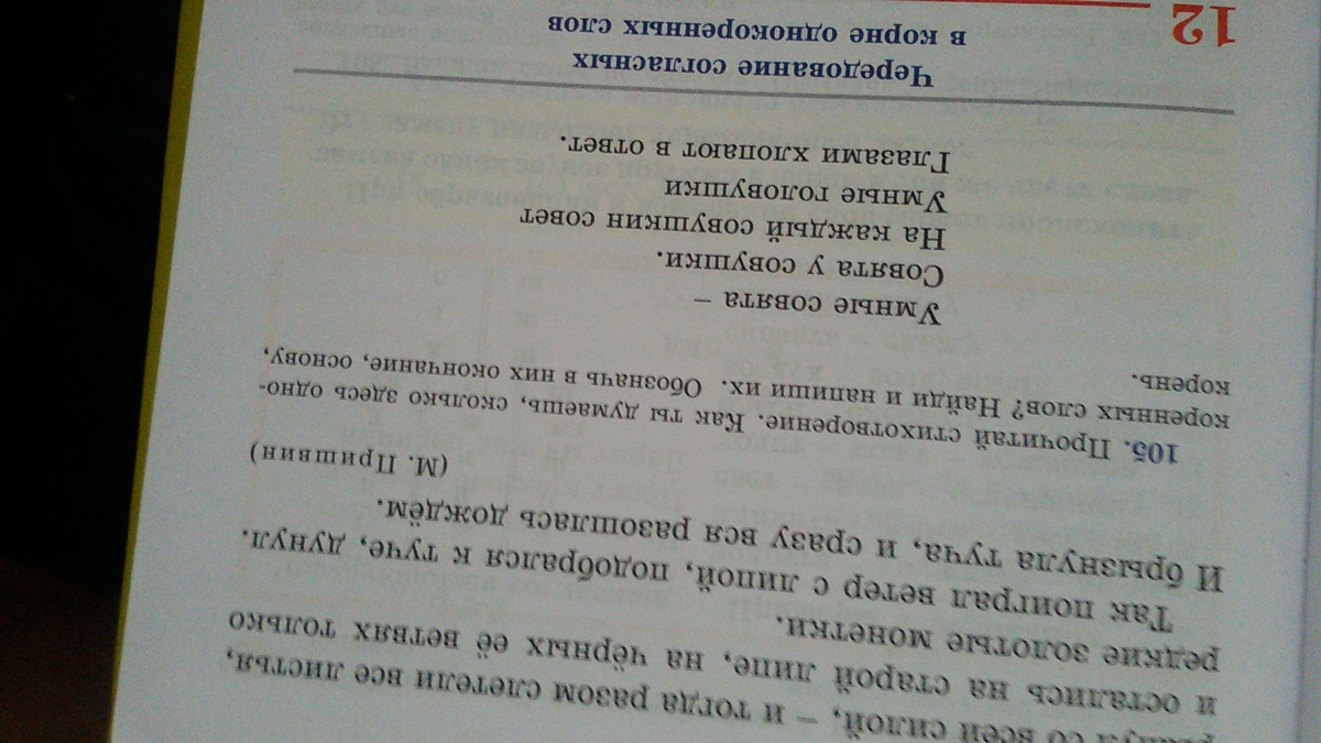 105 задание по русскому 5 класс