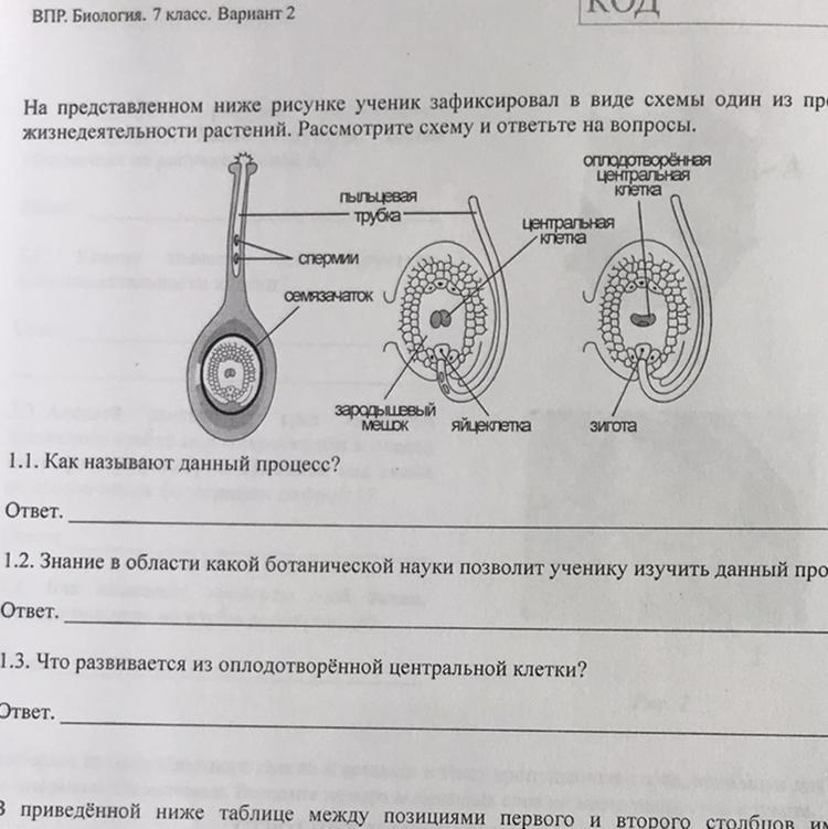 Какой природный процесс изображен на схеме 7 класс