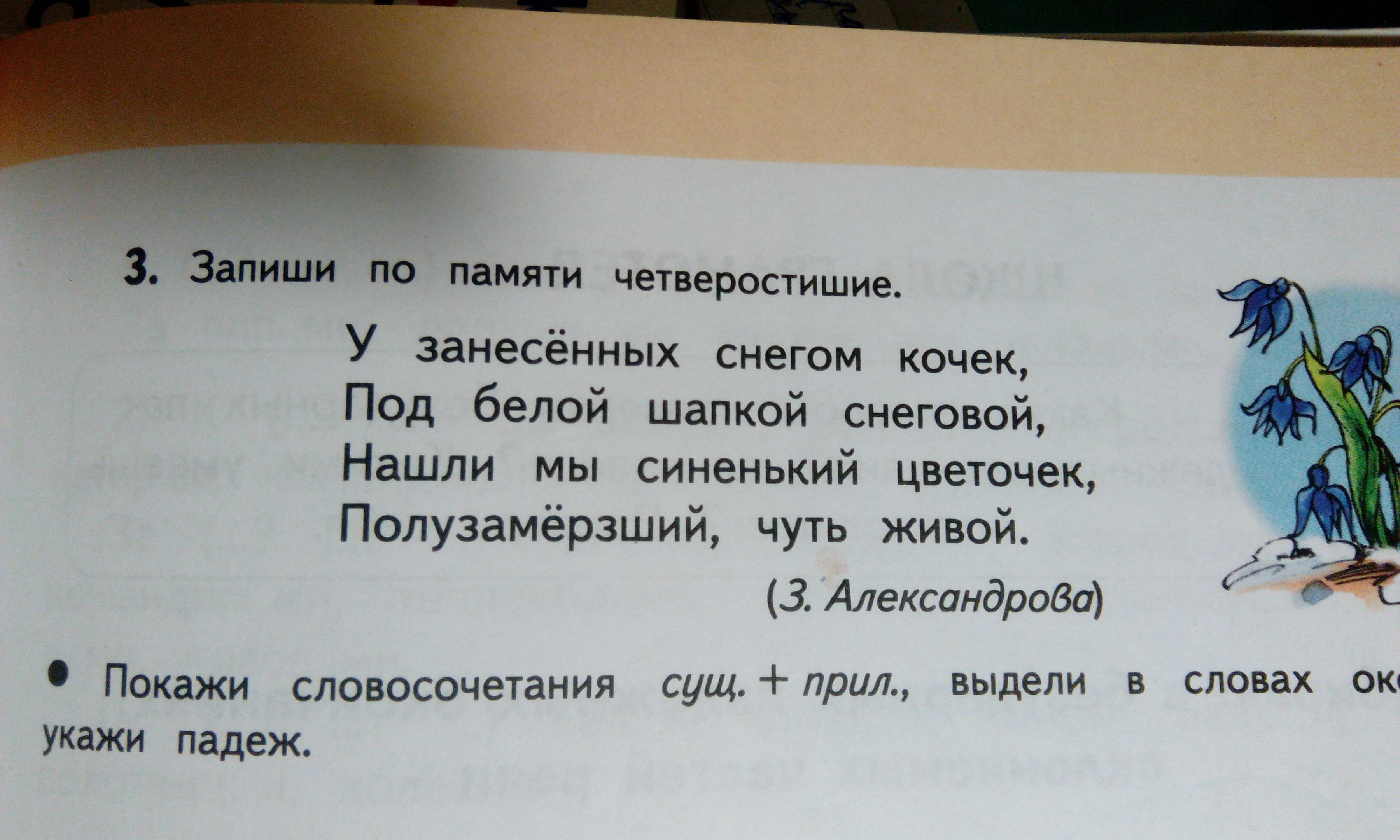 Под белой шапкой Снеговой нашли мы синенький цветочек загадка