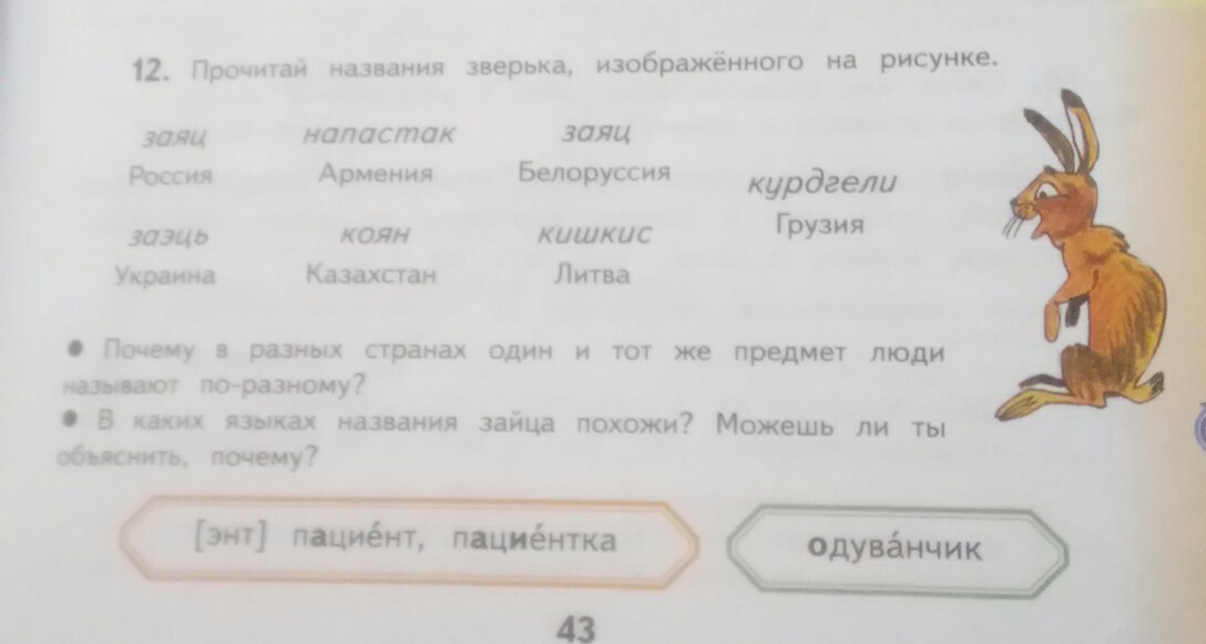 Называет по разному. Гдз по русскому языку 3 класс можно ли назвать зайца. Придумать имя зайцу имя по русскому. Как изображают звуки зайца в разных странах.